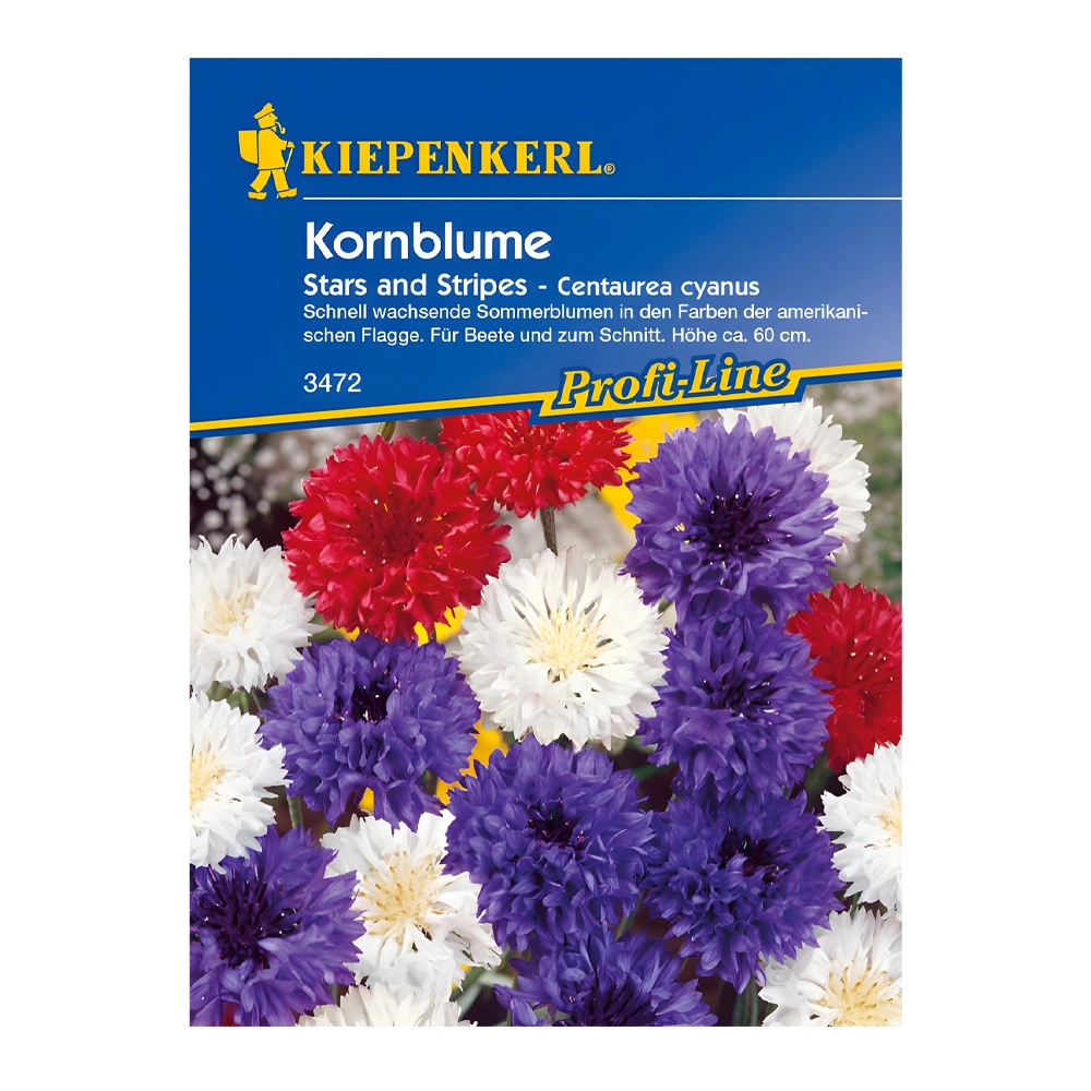 Cornflower Stars and Stripes 1 Cornflower Stars and Stripes