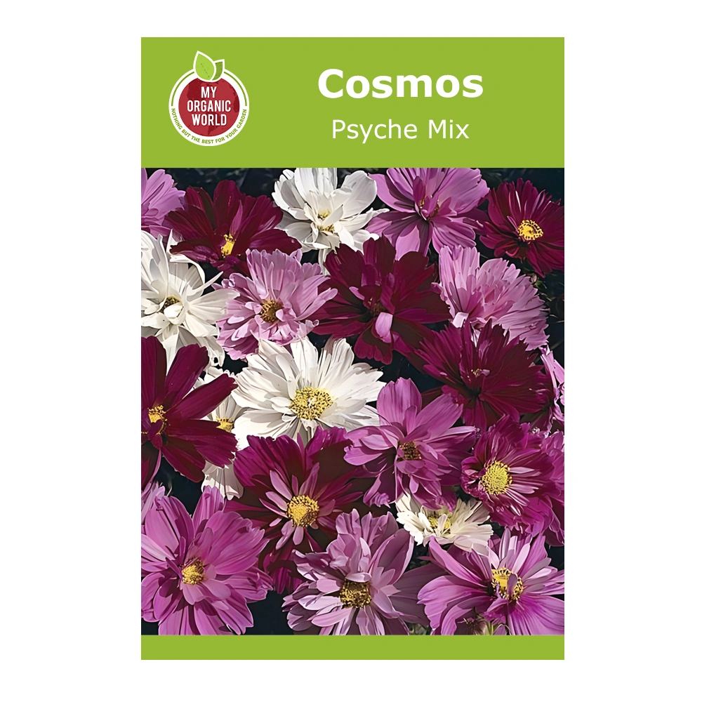 Cosmos Psyche Mix