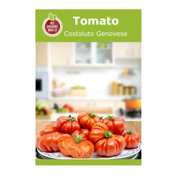 Costoluto Genovese Tomato seeds