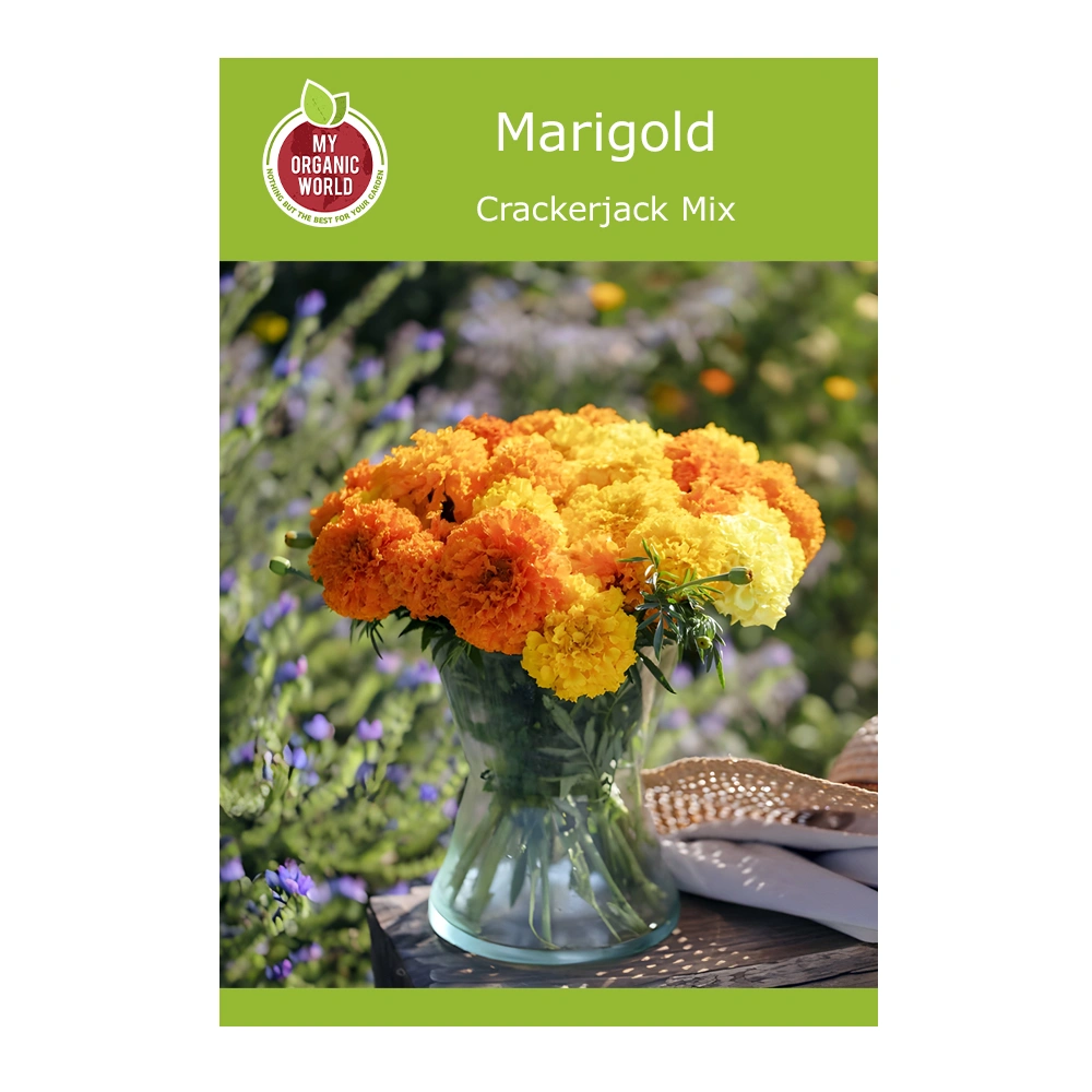 Crackerjack Mix Marigold seeds