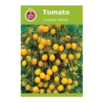 Currant Yellow Tomato seeds