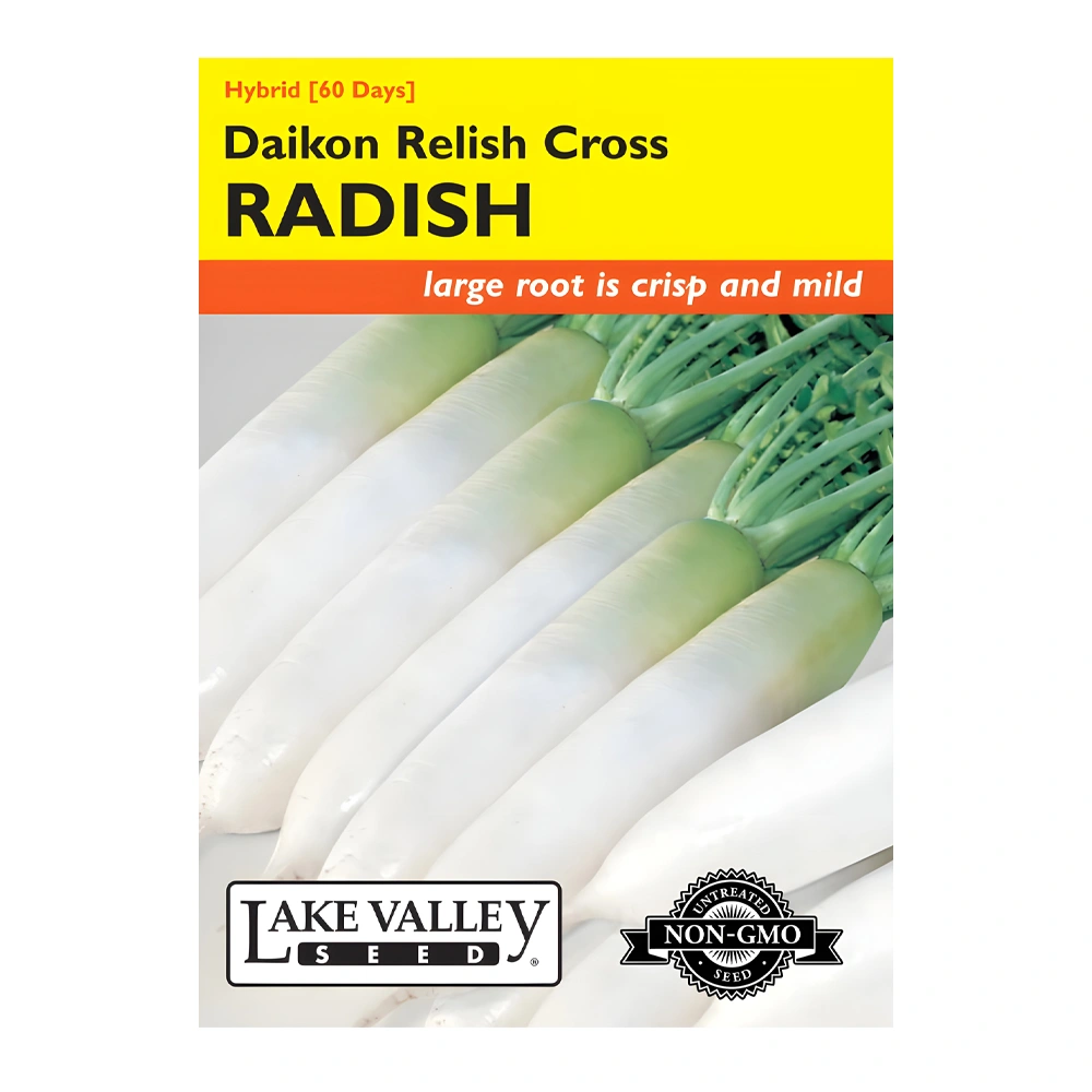 فجل دايكون هجين Relish Cross 1 بذور الفجل الهجين Daikon Relish Cross