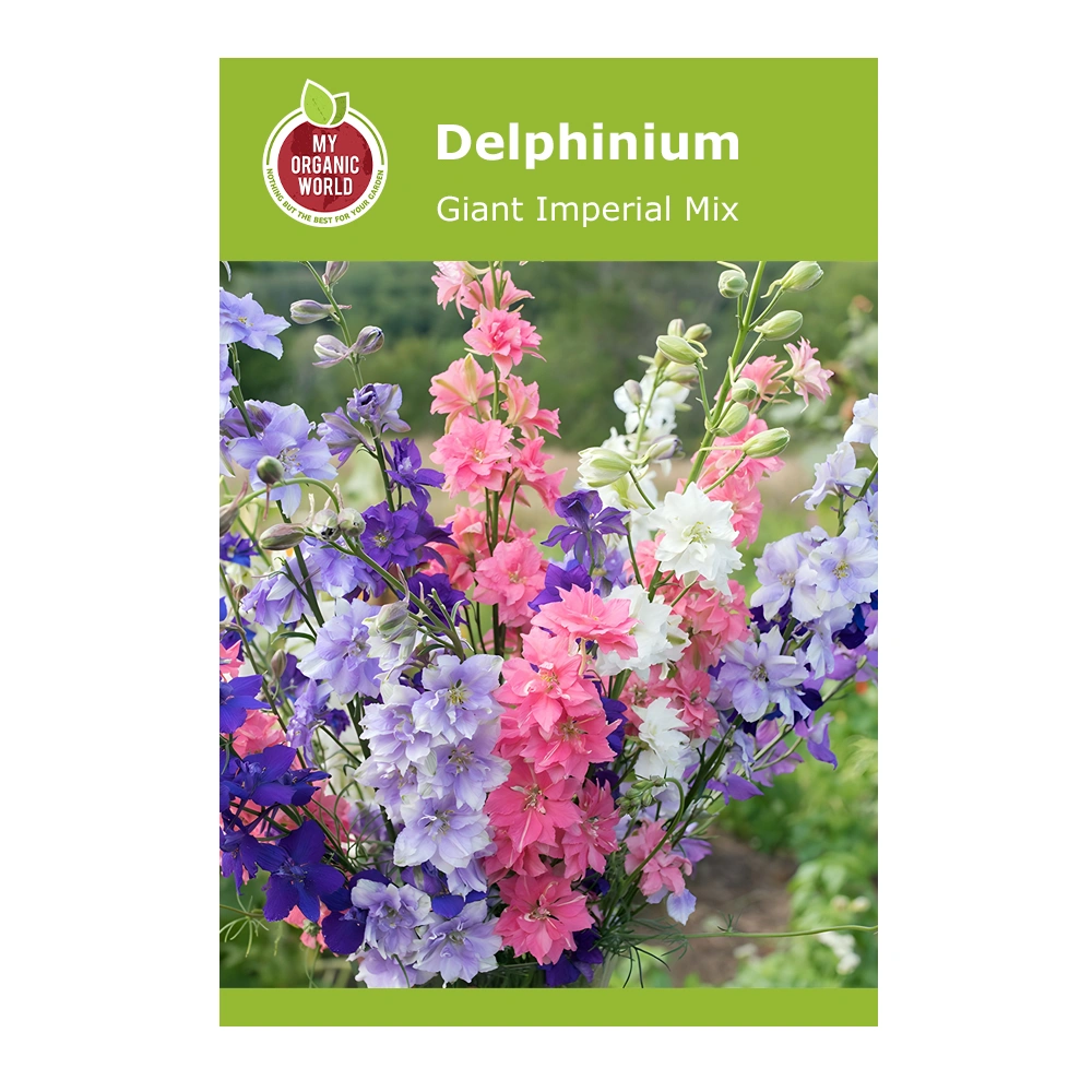 Delphinium Giant Imperial Mix 1 Delphinium Giant Imperial Mix seeds