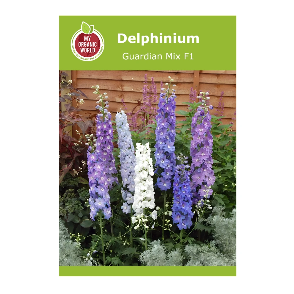 Delphinium Guardian Mix F1 1 Delphinium Guardian Mix F1 seeds