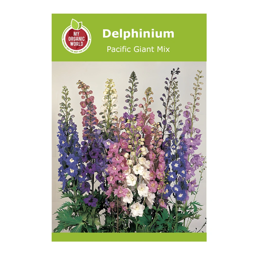 Delphinium Pacific Giant Mix 1 Delphinium Pacific Giant Mix seeds