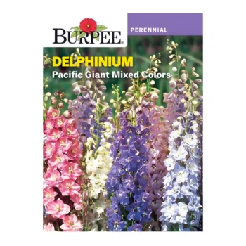 Delphinium Pacific Giant Mixed Colours seeds