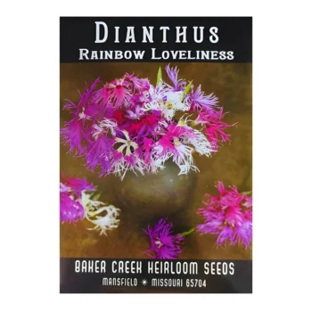 Dianthus Rainbow Loveliness seeds
