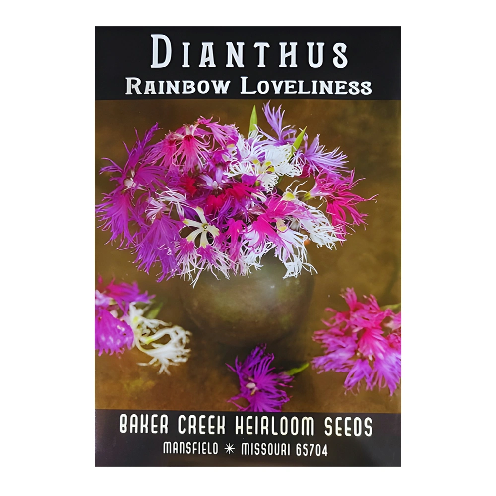 Dianthus Rainbow Loveliness 1 Dianthus Rainbow Loveliness seeds