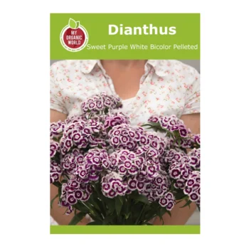 Dianthus Sweet Purple White Bicolor Pelleted