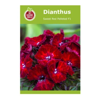 Dianthus Sweet Red Pelleted F1