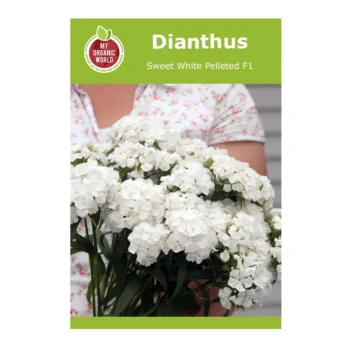 Dianthus Sweet White Pelleted F1