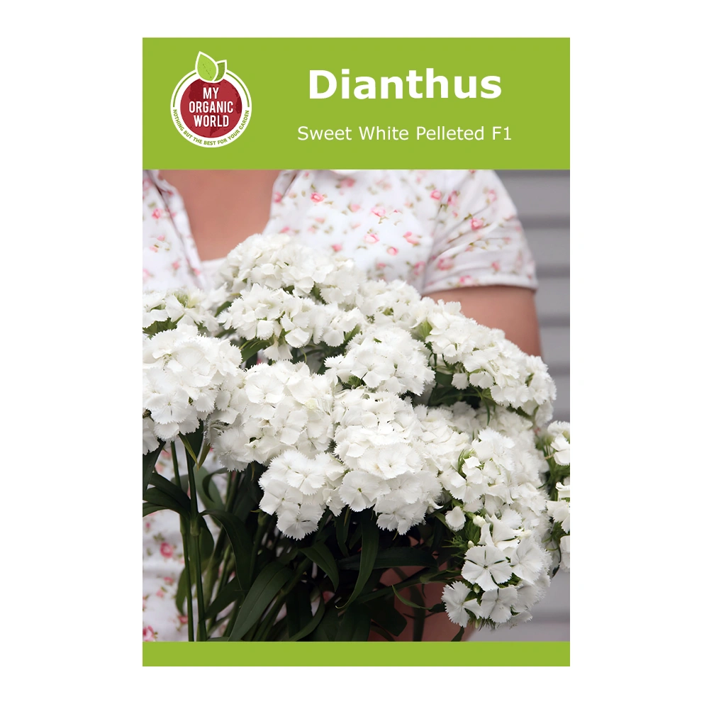 Dianthus Sweet White Pelleted F1 1 Dianthus Sweet White Pelleted F1