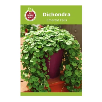 Dichondra Emerald Falls