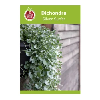 Dichondra Silver Surfer seeds