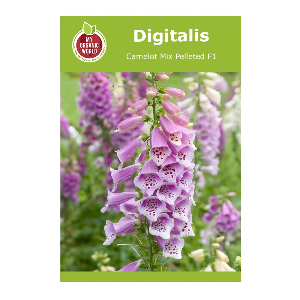 Digitalis Camelot Mix Pelleted F1
