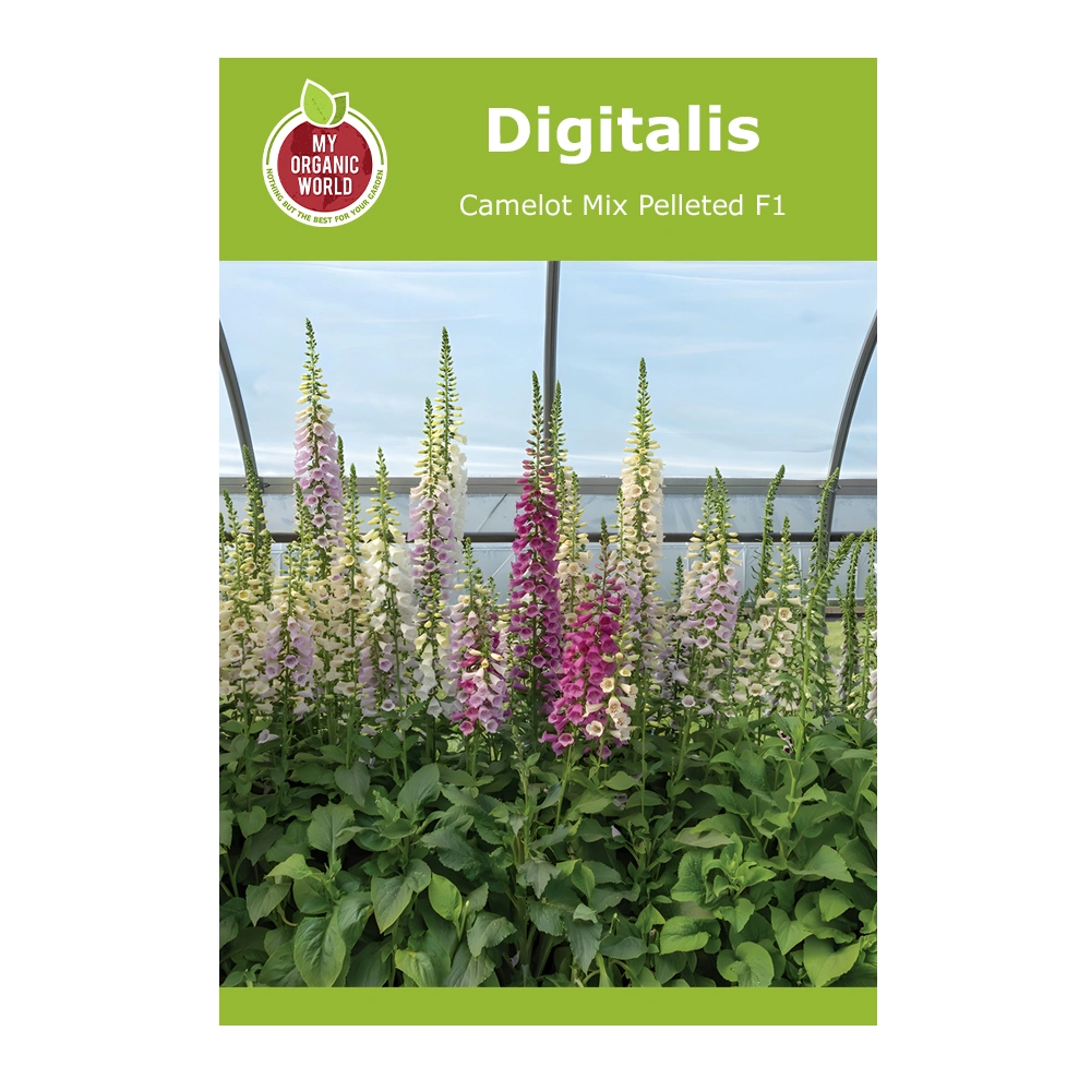 Digitalis Camelot Mix Pelleted F1