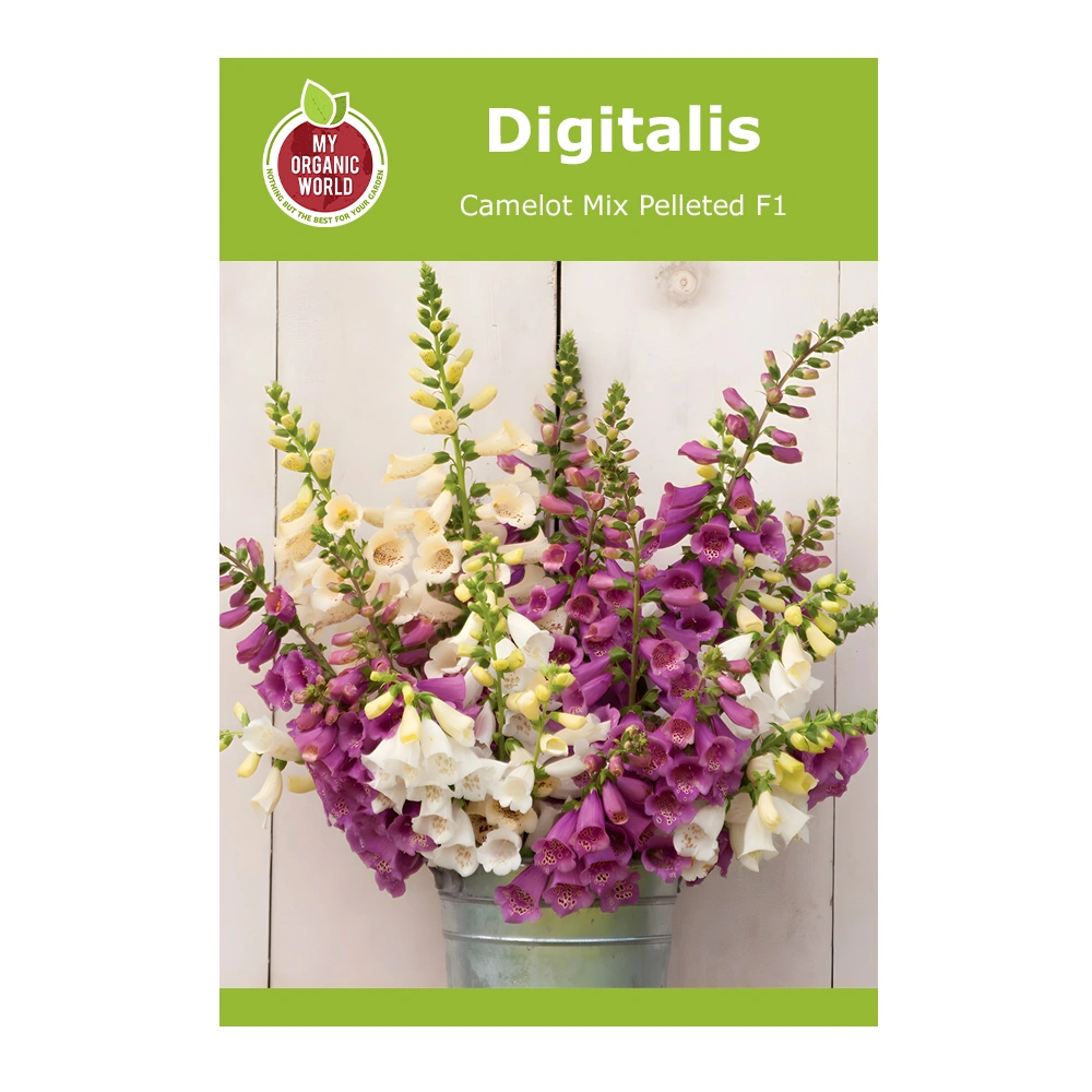Digitalis Camelot Mix Pelleted F1 1 Digitalis Camelot Mix Pelleted F1