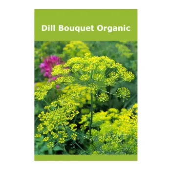 Dill Bouquet Organic
