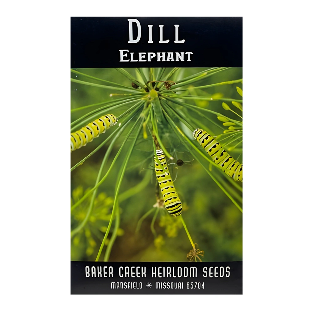 Dill Elephant
