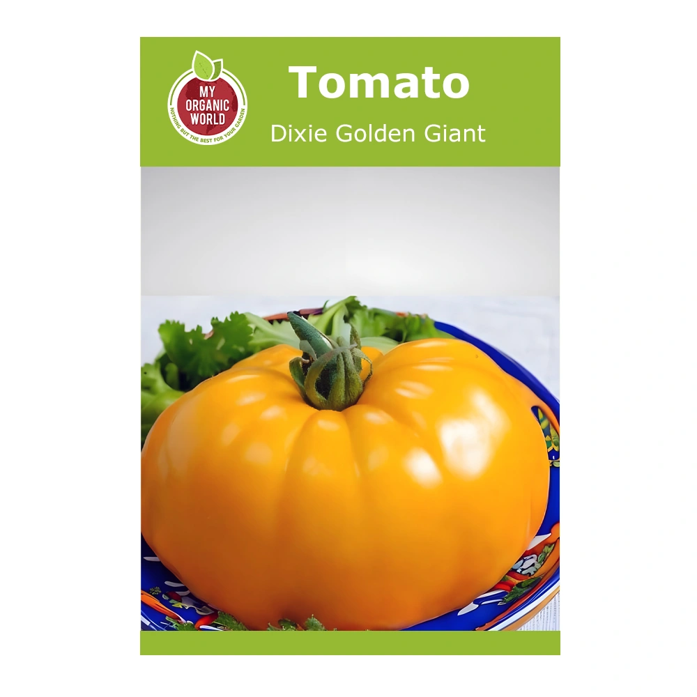 Dixie Golden Giant Tomato 1 Dixie Golden Giant Tomato seeds