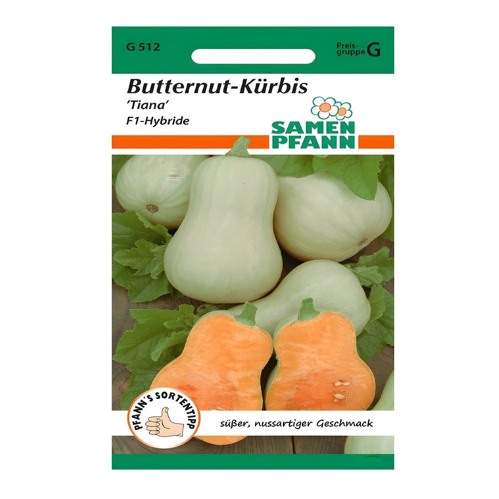 Early Butternut Tiana F1 Pumpkin seeds