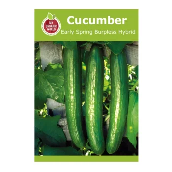 Early Spring Burpless Hybrid Cucumber Seeds