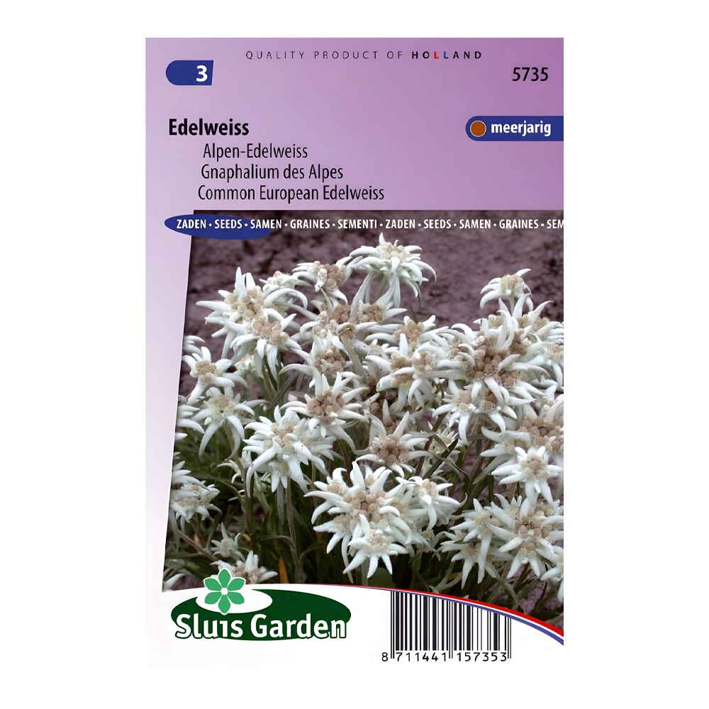 Edelweiss