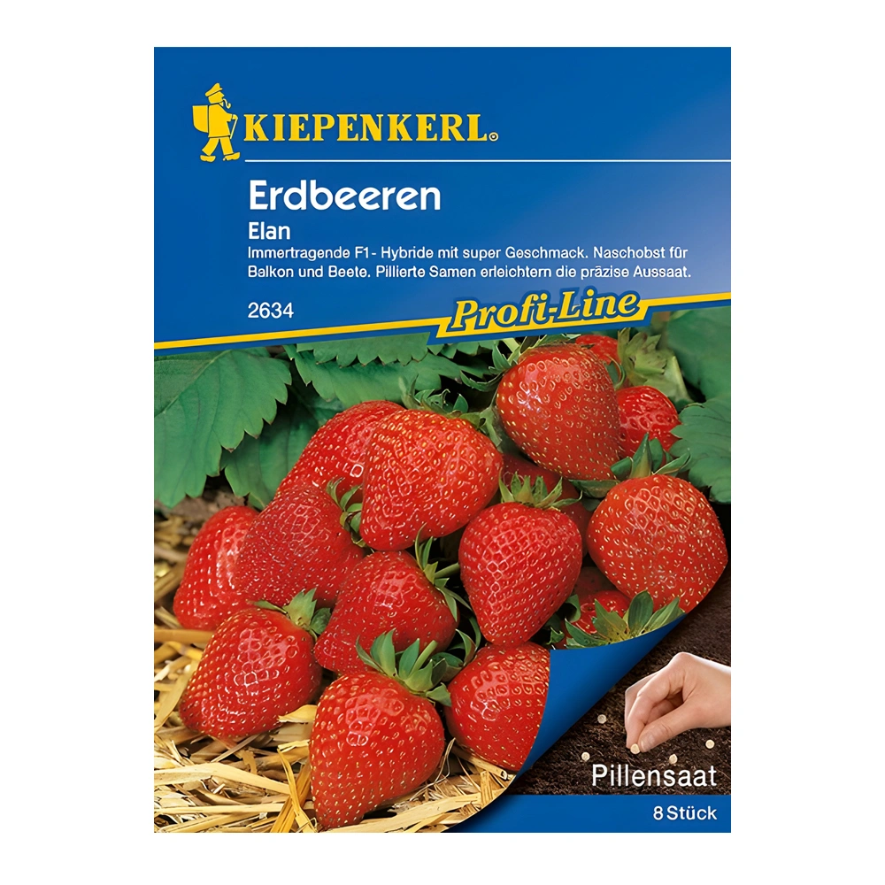 Elan Strawberry (بذور مغلفة)
