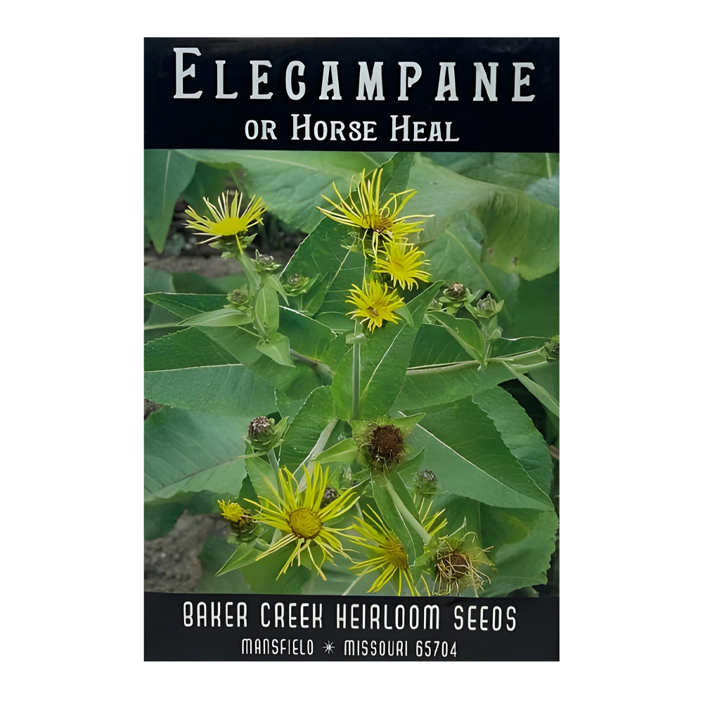 Elecampane (Horse Heal) 1 Elecampane (Horse Heal)