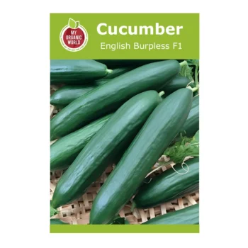 English Burpless F1 Cucumber Seeds