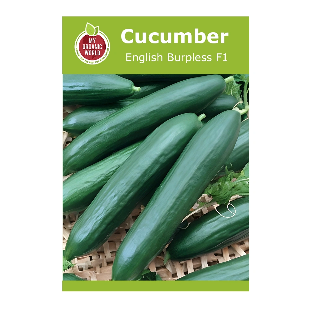 English Burpless F1 Cucumber Seeds