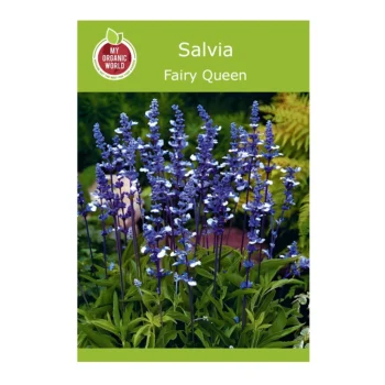Fairy Queen Salvia seeds