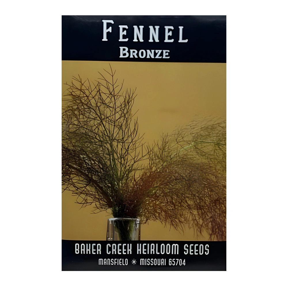 Fennel Bronze