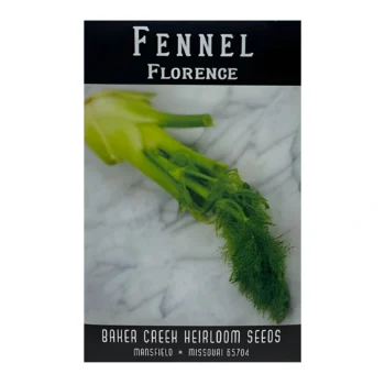 Fennel Florence