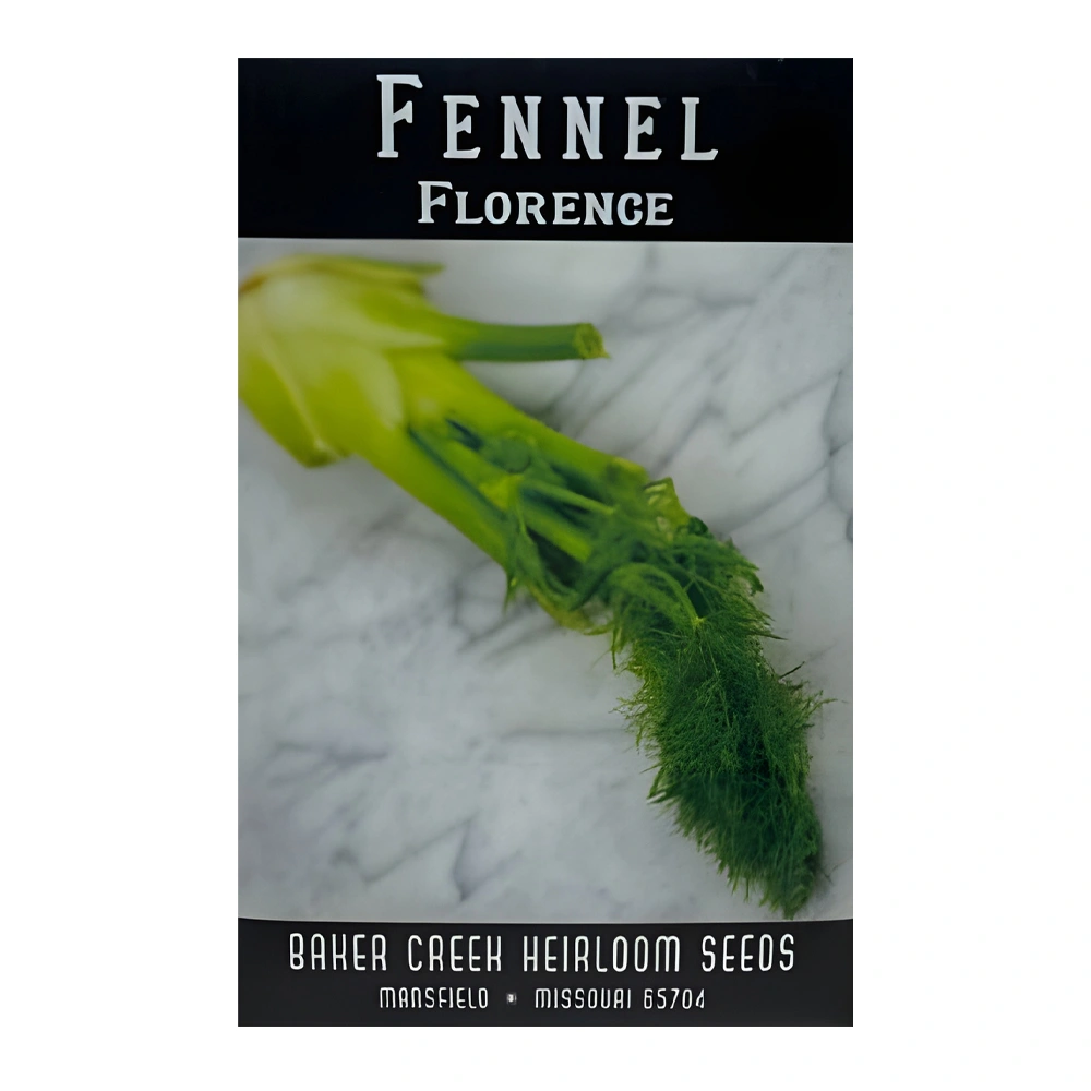 Fennel Florence
