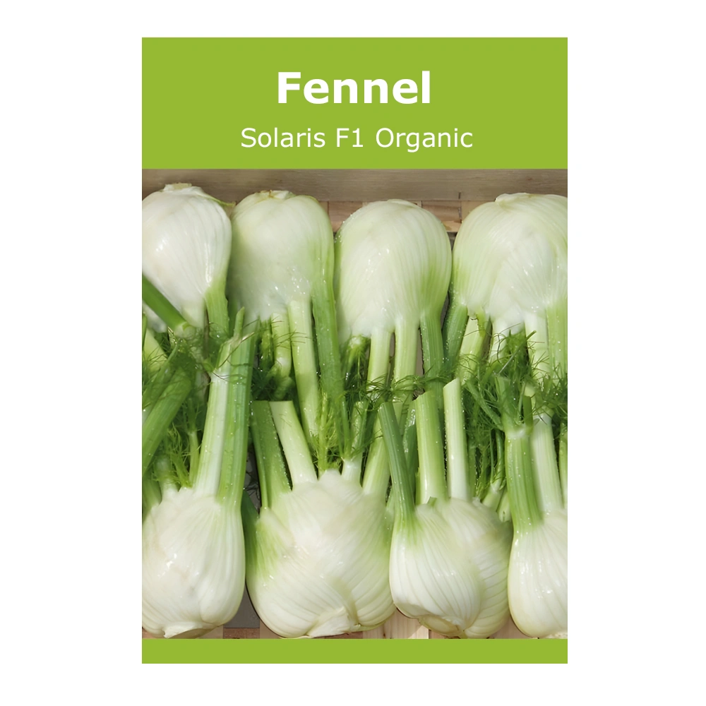 Fennel Solaris F1 Organic