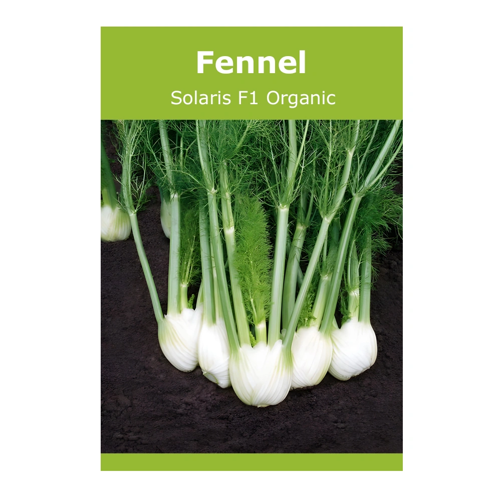 Fennel Solaris F1 Organic