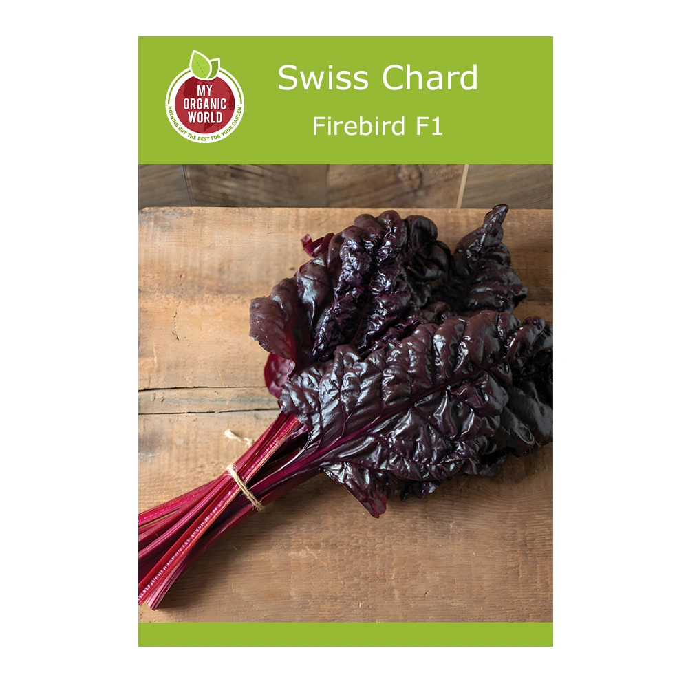 Firebird F1 Swiss Chard 1 Firebird F1 Swiss Chard seeds