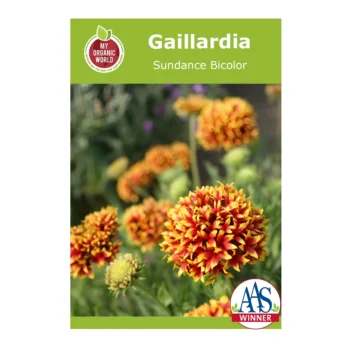Gaillardia Sundance Bicolor