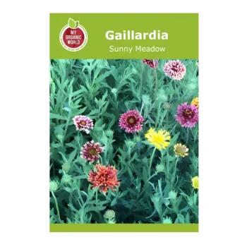 Gaillardia Sunny Meadow