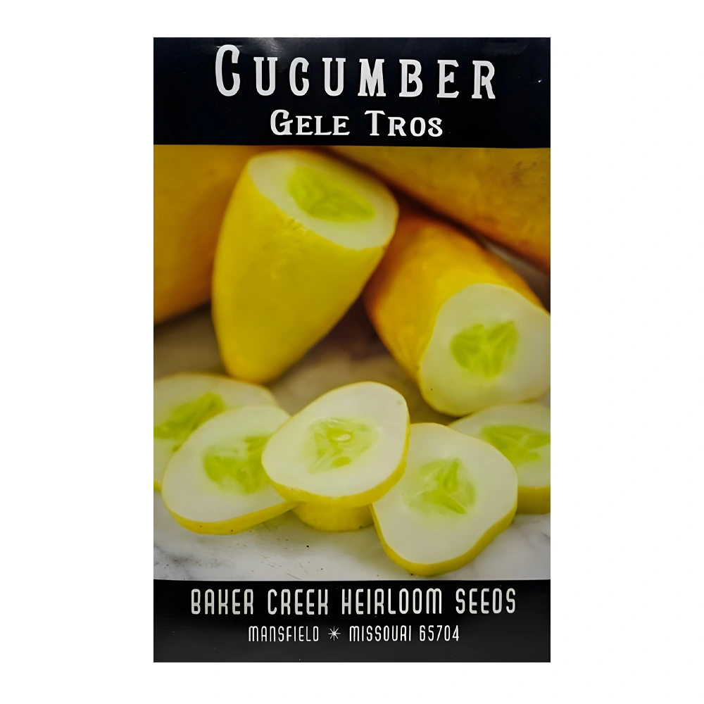 Gele Tros or Large Dutch Yellow Cucumber 1 Gele Tros or Large Dutch Yellow Cucumber seeds