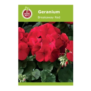 Geranium Breakaway Red seeds