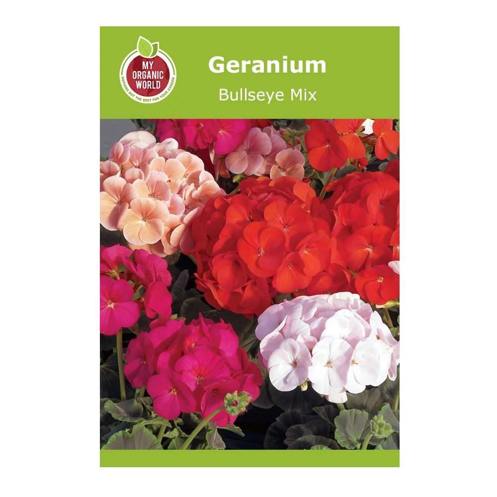 Geranium Bullseye Mix 1 Geranium Bullseye Mix seeds