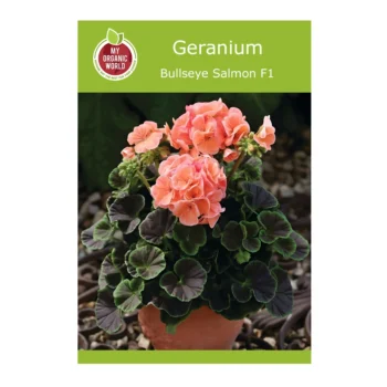 Geranium Bullseye Salmon F1 seeds