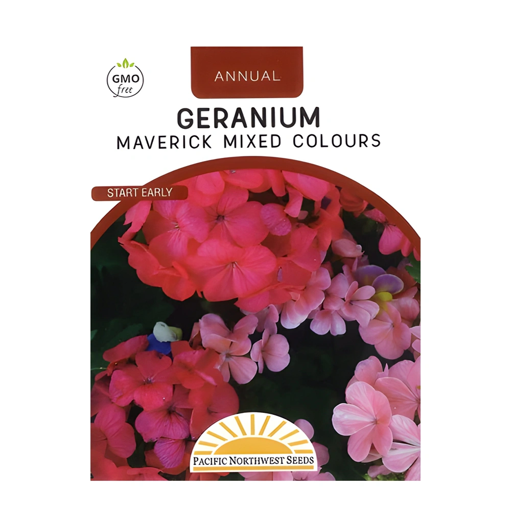 Geranium Maverick Mixed Colours 1 Geranium Maverick Mixed Colours seeds