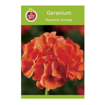 Geranium Maverick Orange seeds