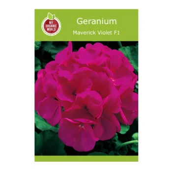 Geranium Maverick Violet F1 seeds