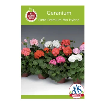 Geranium Pinto Premium Mix Hybrid seeds