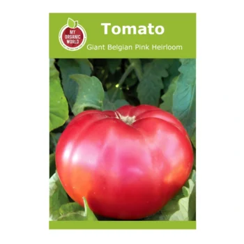 Giant Belgian Pink Heirloom Tomato seeds