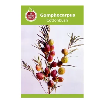 Gomphocarpus Cottonbush